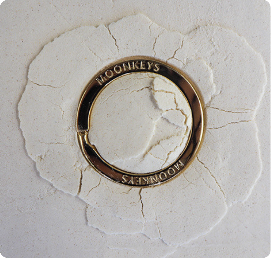 moonkey ring die in de bloem gelecht is om het stukje van de maan na te bootsen