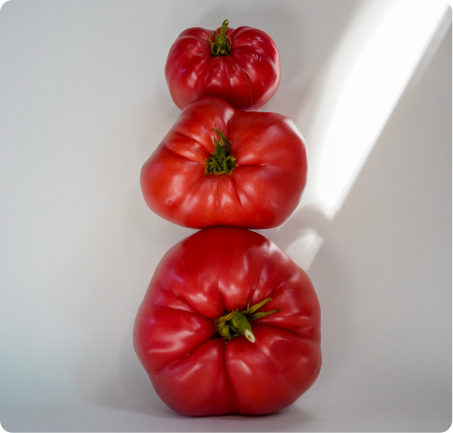 Foodfotograaf waarbij 3 tomaten op elkaar gestapeld zijn
