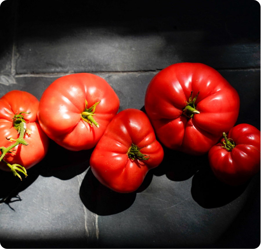 Tomaten op tegels gelegd gefotografeerd